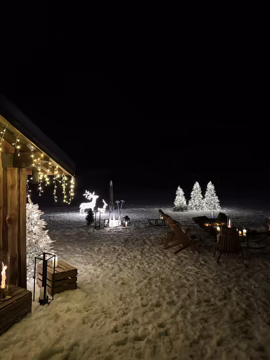 A chalet garlanded with lights, glowing reindeer and trees on the snow, at night