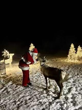 Father Christmas feeding a reindeer at night among lit trees