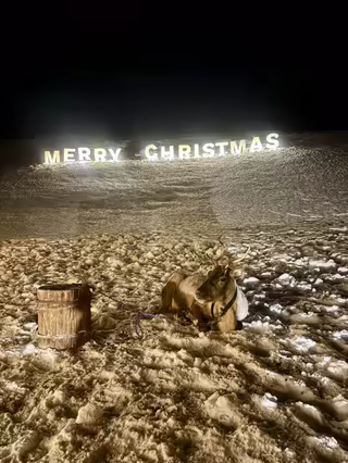 Illuminated Merry Christmas sign with a reindeer resting in the snow
