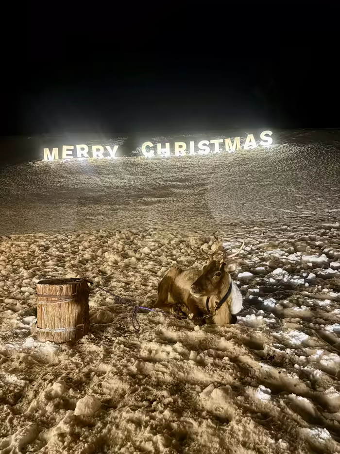Illuminated Merry Christmas sign with a reindeer resting in the snow